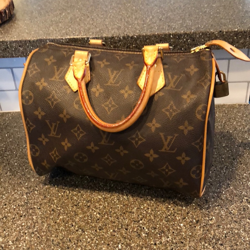 Louis Vuitton Speedy 25 Bag